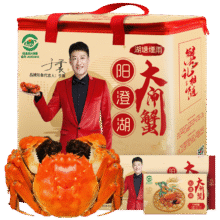湖塘烟雨 阳澄湖大闸蟹礼券螃蟹礼品卡公4.0两母3.0两4对188元（需领券）