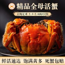 活蟹 蟹家客 8只装 全母2.3-2.6两 螃蟹鲜活大闸蟹现货海鲜生鲜源头直发125.0元（合125元/件）