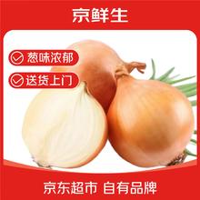 京鲜生 山东黄洋葱带皮3斤装直径5公分起新鲜蔬菜源头直发 黄皮洋葱 3斤券后5.9元