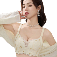 浪莎内衣女小胸聚拢文胸显大无钢圈收副乳调整型上托胸罩 香槟色38AB24.95元（需领券）