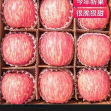 9月26日0点：疆域采虹正宗陕西红富士苹果特选5斤尝鲜装 净重约为4.0斤13.9元
