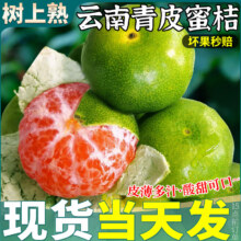 春福乐 青皮蜜桔 5斤装【手挑精选果】净4.5斤8.9元（需领券）