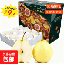赵州水晶鸭梨  净重4.5斤9.99元