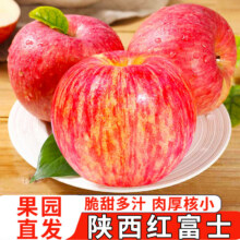 京愿 陕西红富士苹果 净重4.5斤优选装15.88元