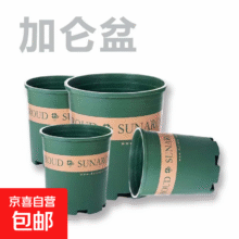 再降价：新款加仑盆加厚塑料  矮款0.5加仑（口径10cm)2个盆 不带托盘0.49元