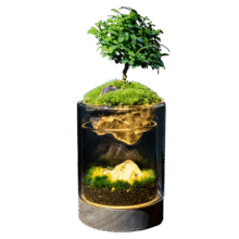 丘辰苔藓微景观生态瓶DIY办公室内桌面绿植摆件造景花卉盆栽生日礼物 有光青年（小夜灯）89元 (券后省10)