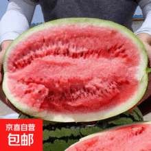 【石头瓜】宁夏中卫硒砂瓜 带箱11-13斤16.9元（需领券）