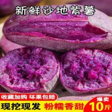 天降福利：新鲜农家自种紫薯 4.5斤