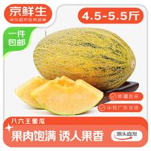 京鲜生 新疆86王八六王蜜瓜单果2.5斤起净重4.5-5.5斤 1-2粒装 源头直发 新疆86王蜜瓜净重4.5-5.5斤17.9元