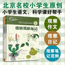 《我的大自然观察笔记》（套装共2册）