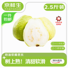京鲜生 树熟软糯奶油芭乐 净重2.5斤装/单果150g+19.9元包邮