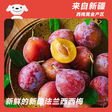 京鲜生 新疆法兰西西梅 净重2斤 单果15g+ 新鲜水果 源头直发14.9元
