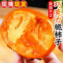 甜萌果蔬新鲜脆柿子 巧克力脆柿礼盒 净重4.5-5斤精选装【单果约80g+】13.9元