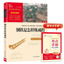 《钢铁是怎样炼成的》（彩插励志版）2.9元