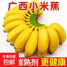 京喜 广西 小米蕉 2斤 酸甜口小香蕉1.6元