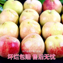 粤迎 正宗山东青州脆甜 5斤精选果【脆甜爽口】净重4.5斤13.9元（需领券）