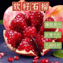 正宗现摘白心芭乐 净重4.5斤精品装10.9元（需领券）