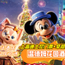 【温德姆花园酒店1晚】迪士尼早鸟2大+接送+双早原价2206，现价1234元