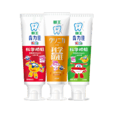 狮王（Lion）齿力佳儿童科学防蛀牙膏2-12岁150g草莓+葡萄+蜜柑新老包装随机17.9元