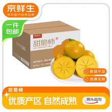 京鲜生 阳丰脆柿甜柿新鲜柿子 净重3-3.5斤单果100g-120g 生鲜水果源头直发11.9元