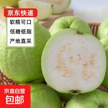 京喜加 福建白心芭乐 番石榴 可做拌水果 京东快递 2斤 带箱重3.37元