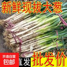 意摩 EVEMORE 山东农家自种精品大葱 3斤 带箱2.9元