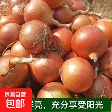 京喜 无品牌 国产新鲜黄洋葱 500g