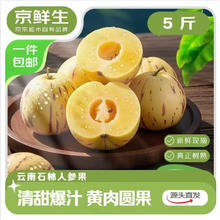 京鲜生 云南石林人参果净重5斤 单果100g+券后19.9元