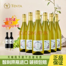 智利原瓶进口！Tenta 天帕 2020年 霞多丽干白葡萄酒 750mL*6瓶 送马标干红187ml*2支￥198.00