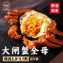 阳澄逍遥 【活蟹现货】阳澄逍遥 大闸蟹全母2.8-3.1两8只 礼盒装券后138元