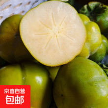 云南脆柿当季鲜果脆甜爽口 无涩无核 削皮即食 青果脆甜 黄果软糯 3斤装（单果80-150g）4.94元（需领券）