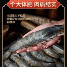 海洋演义 盐冻新鲜超大虾厄瓜多尔白虾 1650g92元包邮