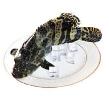 鲟食活冻石斑鱼野外700-800g/条44元/件包邮（买一送一实付88元）赠送主商品（需领券）