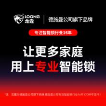 龙霆 德施曼旗下龙霆指纹锁家用防盗门智能门锁入户门智能锁电子锁T3