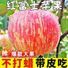 疆域采虹正宗陕西红富士苹果水果时令脆甜丑苹果新生鲜孕妇水果生鲜整箱 特选5斤尝鲜装 净重约为4.0斤20元 (满24减5,券后省5,月销1000+)