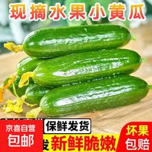 京喜 无品牌 国产水果黄瓜 1斤 带箱0.9元