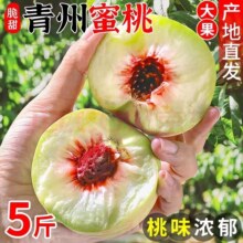 春福乐正宗山东青州蜜桃 净重4.5斤12.99元