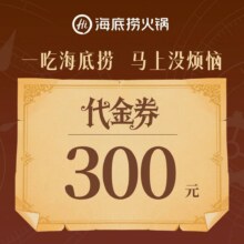 美团 海底捞 300元代金券|限1张250.88元代300元