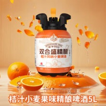 双合盛 10.0°P 桔汁风味小麦白啤酒 5L 单桶50元（需领券）