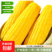 东北甜糯玉米 黄糯玉米真空包装加热即食速食玉米棒糯玉米 黄糯玉米10棒 单棒＞180g19元 (券后省4,月销3000+)