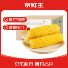 京鲜生东北水果玉米净重4.5斤6-8棒 鲜甜玉米棒新鲜蔬菜 源头直发15.9元