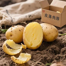 黔婆婆 活动只有今天！黄皮土豆 5斤装券后6.9元