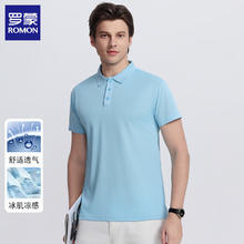 ROMON 罗蒙 2025男士新款翻领冰丝短袖t恤（任选2件）24.49元（需买2件，需用券）