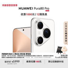 昰顾 WD西数机械硬盘500G/1TB/2T/3T/4T/6T台式机电脑监控NAS垂直硬盘76元