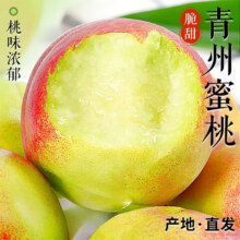 春福乐 正宗山东青州蜜桃 5斤首选果【爆甜爽口】净4.5斤13.8元
