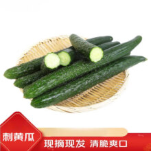 农家刺黄瓜当季新鲜现采摘菜黄瓜天然蔬菜黄瓜脆嫩刺绿黄瓜 净重3斤单根≥200g4.95元（需领券）