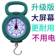 便携式手提秤 2个