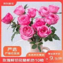 某东鲜花 玫瑰花鲜切花 10枝￥9.90 2.0折