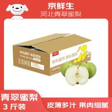 京鲜生 河北青皮皇冠梨 净重4.5斤 单果250g+ 新鲜水果 源头直发 包邮券后14.8元