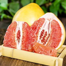泓瀚 红肉蜜柚 红心柚子 大果 5斤装15.8元